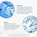 youtheory-spore-probiotic-helps-gut-heal-5.jpg