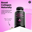 vital-vitamins-vegan-collagen-booster-60-4.jpg