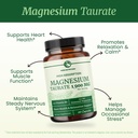 magnesium-taurate-1900mg-heart-health-an-2.jpg