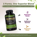 gade-nutrition-magnesium-triple-complex--3.jpg