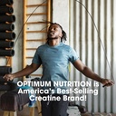 optimum-nutrition-micronized-creatine-mo-6.jpg
