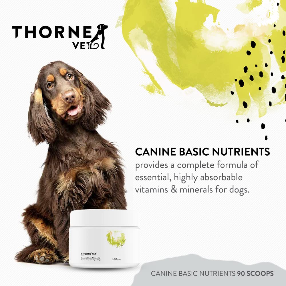 thornevet-canine-basic-nutrients-powder--2.jpg