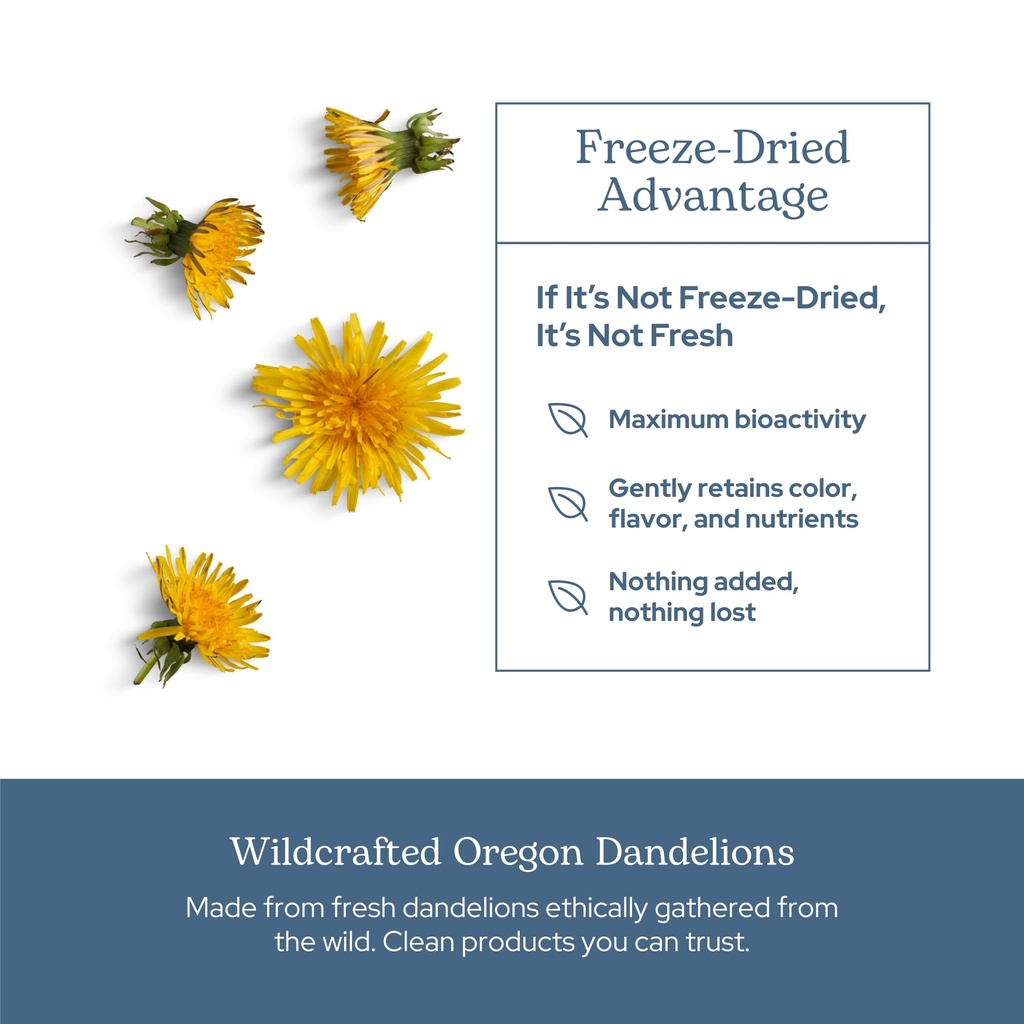 eclectic-herb-raw-freeze-dried-dandelion-5.jpg