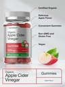 horb-ach-organic-apple-cider-vinegar-gum-4.jpg