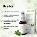 propolis-throat-spray-mint-flavor-natura-2.jpg