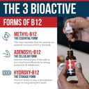 bioactive-vitamin-b12-1000-mcg-contains--3.jpg