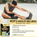 fertility-supplements-for-men-male-ferti-5.jpg