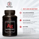 alpha-gpc-supplement-bioperine-for-hyper-3.jpg