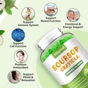 sugar-free-soursop-graviola-gummies---or-3.jpg