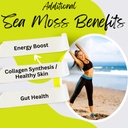 advanced-bionetix-organic-irish-sea-moss-3.jpg