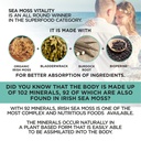 herbame-organic-irish-sea-moss-with-blad-4.jpg