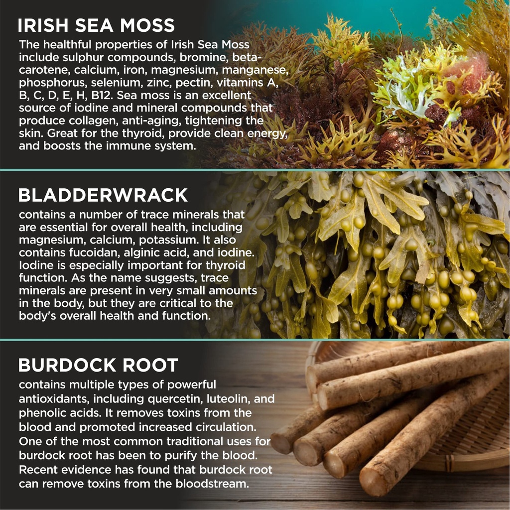 herbame-organic-irish-sea-moss-with-blad-6.jpg
