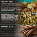 herbame-organic-irish-sea-moss-with-blad-6.jpg