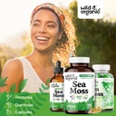 wild-organic-sea-moss-capsules-irish-sea-4.jpg