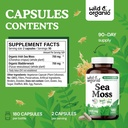 wild-organic-sea-moss-capsules-irish-sea-3.jpg