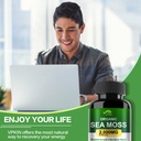 vpkin-organic-sea-moss-capsules-with-bla-6.jpg