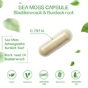 vpkin-organic-sea-moss-capsules-with-bla-2.jpg