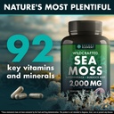 sea-moss-capsules-with-burdock-root-blad-2.jpg