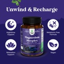 bundle-of-high-absorption-magnesium-slee-4.jpg