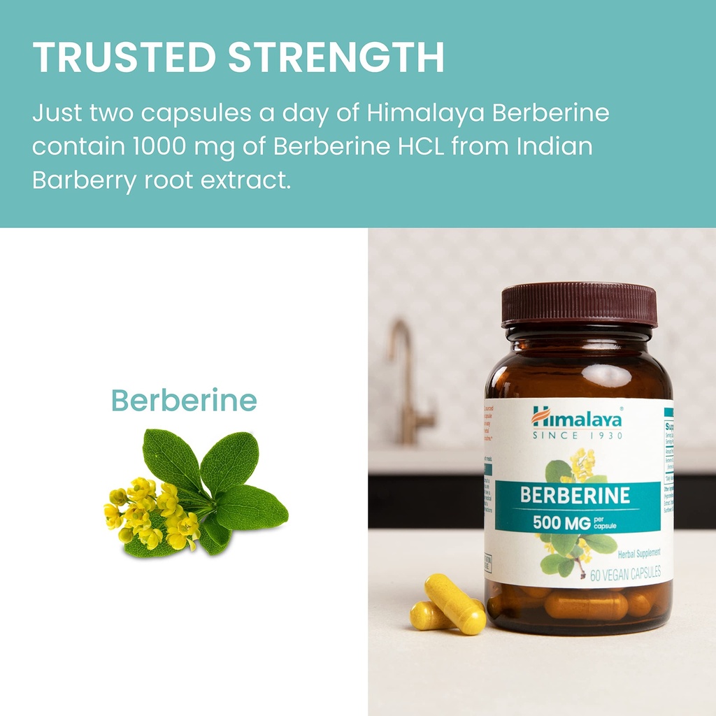 himalaya-berberine-herbal-supplement-for-6.jpg