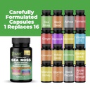 organic-irish-sea-moss-capsules-120-coun-4.jpg