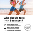 organic-irish-sea-moss-capsules-92-miner-6.jpg