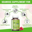 safrel-irish-sea-moss-gummies-3000mg-wit-3.jpg