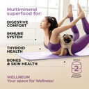 multimineral-sea-moss-gummies-3000-mg-wi-3.jpg