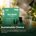 sea-moss-liquid-drops-organic-irish-sea--3.jpg