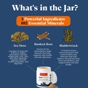 ocean-s-balance-seamoss-wellness-blend-p-3.jpg