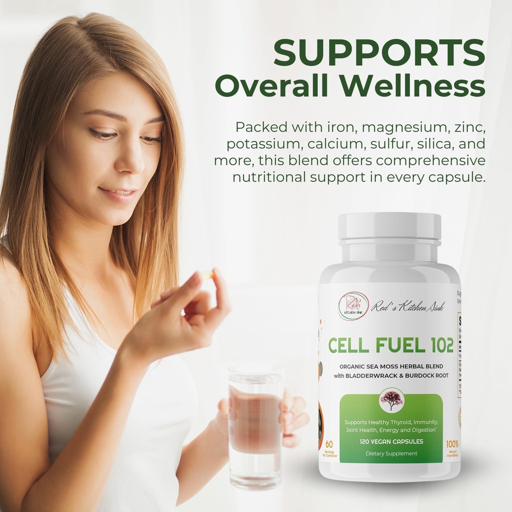 red-s-kitchen-sink-cell-fuel-102-organic-2.jpg