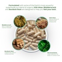 red-s-kitchen-sink-cell-fuel-102-organic-4.jpg