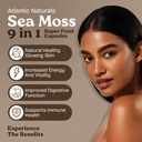 atlantic-naturals-sea-moss-capsules-iris-2.jpg