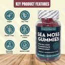 premium-sea-moss-gummies-irish-sea-moss--3.jpg