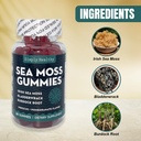 premium-sea-moss-gummies-irish-sea-moss--6.jpg