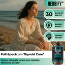 herbify-sea-moss-multimineral-liquid-com-4.jpg