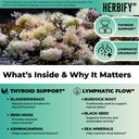 herbify-sea-moss-multimineral-liquid-com-2.jpg