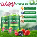 organic-sea-moss-gummies-natural-irish-s-5.jpg