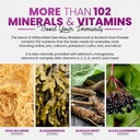 sakoon-nutrition-irish-sea-moss-gummies--5.jpg
