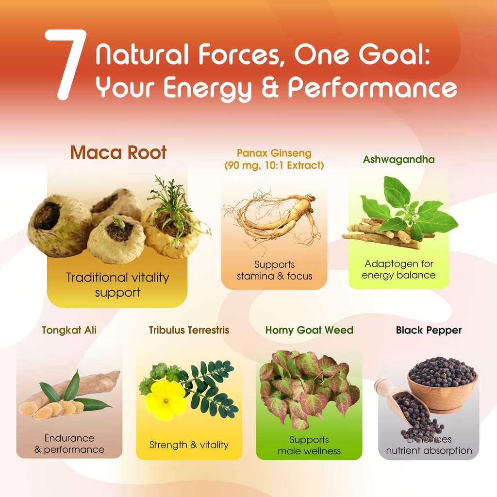 vital-herbal-maca-root-complex-with-ashw-4.jpg