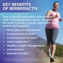 tesseract-medical-research-berberactiv-q-4.jpg