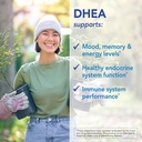 patient-one-dhea-25-mg-supplement-to-sup-4.jpg