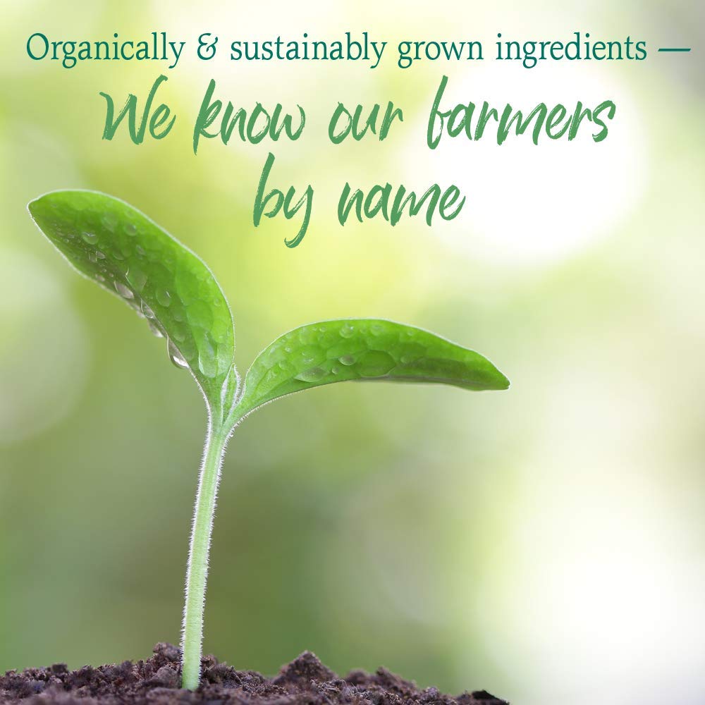 garden-of-life-raw-organic-perfect-food--6.jpg