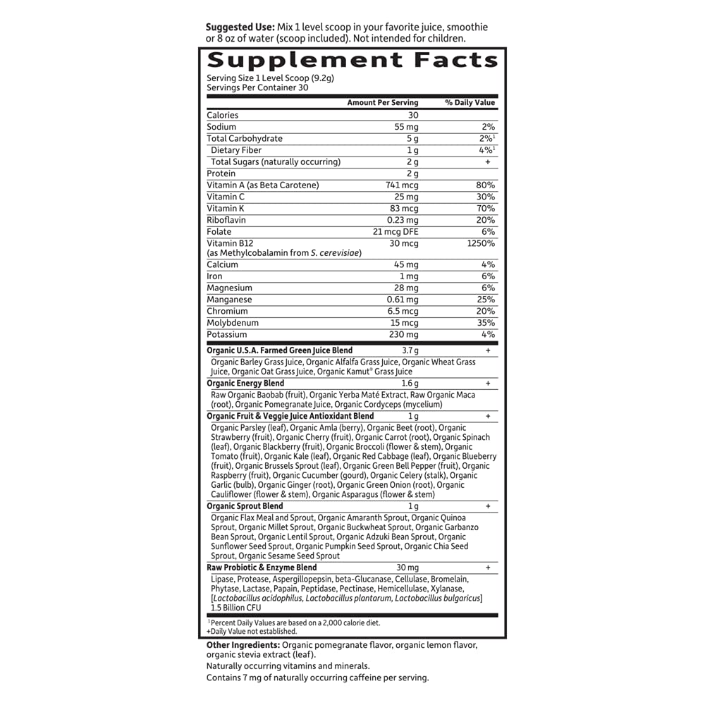garden-of-life-raw-organic-perfect-food--5.jpg