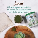 garden-of-life-raw-organic-perfect-food--4.jpg