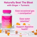 pink-stork-turmeric-ginger-gummies-gut-d-2.jpg