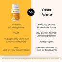 ez-melts-dissolvable-folate-1-667-mcg-df-5.jpg