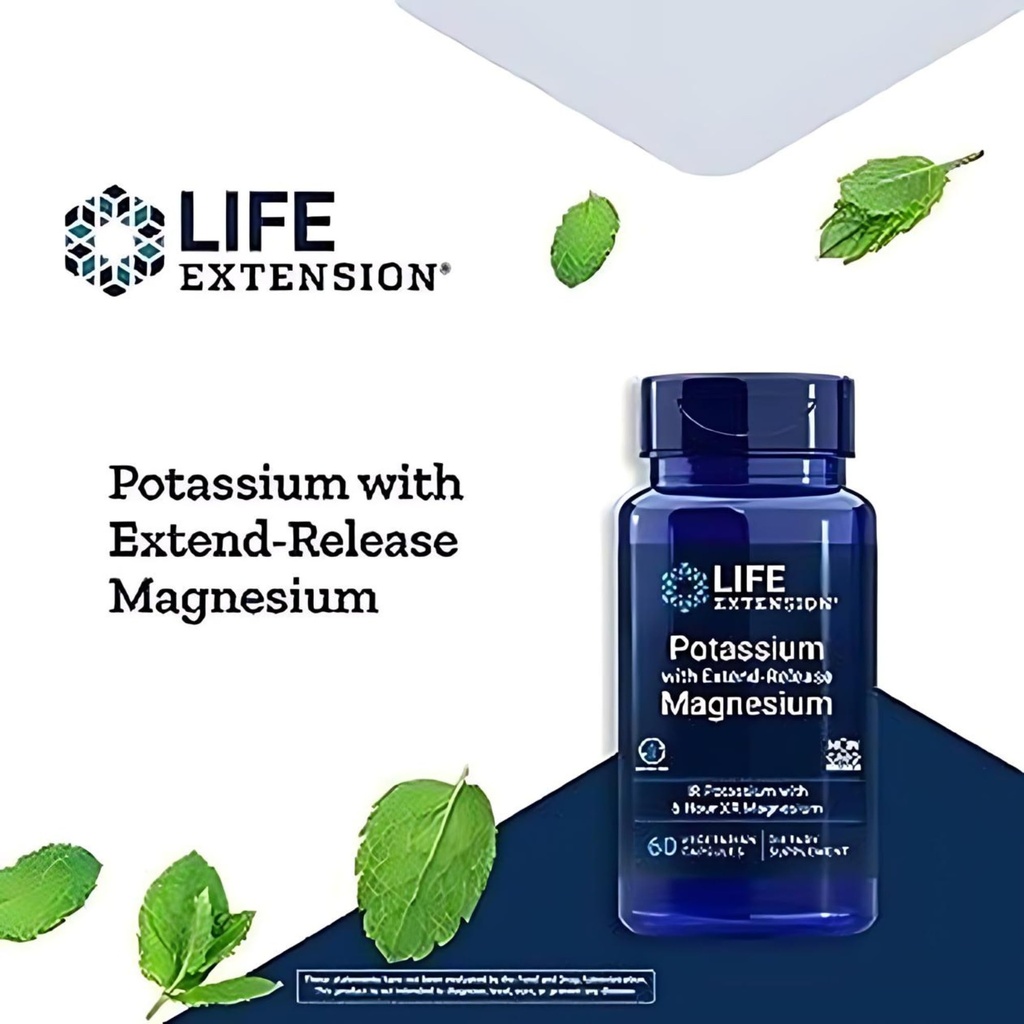life-extension-potassium-with-extend-rel-4.jpg