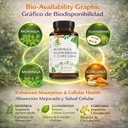moringa-guanabana-curcuma-moringa-sourso-5.jpg