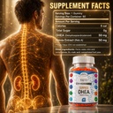 vaite-dhea-50mg-gummies-for-men-and-wome-3.jpg